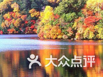 咖啡厅找不同