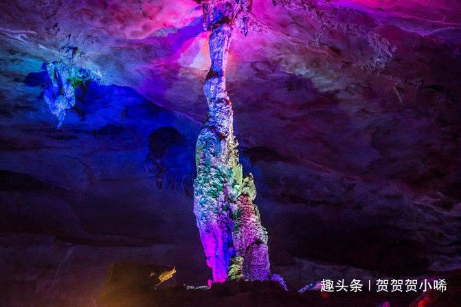 黎明守卫者