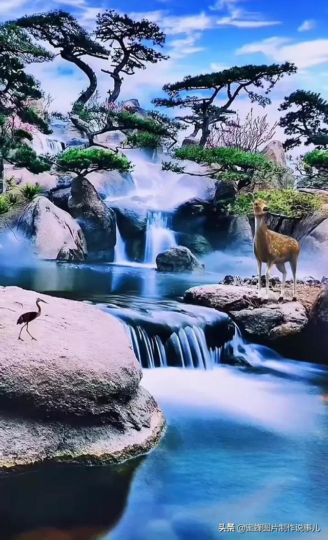 阿道夫洗发水情绪疗愈+进阶式头皮护理,书写高端洗护新篇章