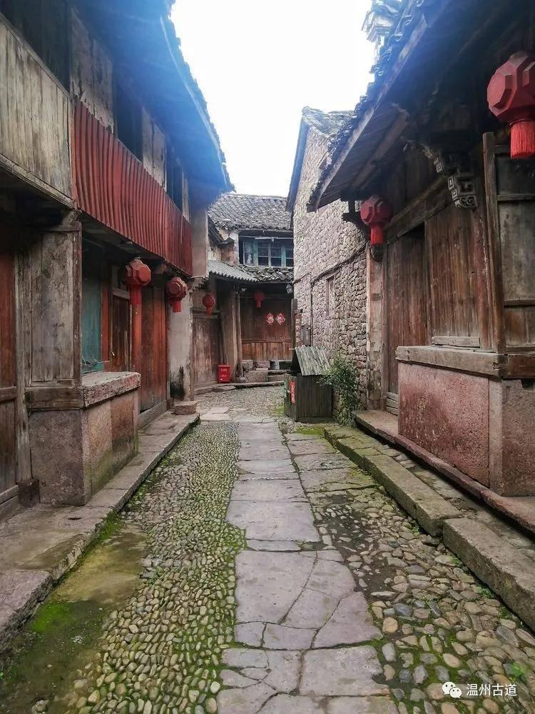 寻找沙漠珍宝